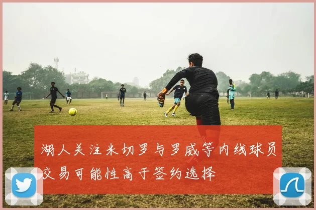 湖人关注米切罗与罗威等内线球员交易可能性高于签约选择